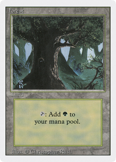 Forest (Eyes in Tree) [Revised Edition]-1