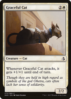 Graceful Cat [Amonkhet]-1
