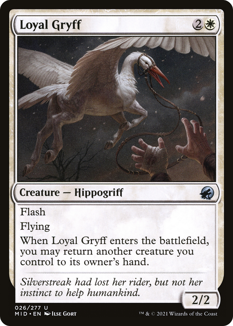 Loyal Gryff [Innistrad: Midnight Hunt]-1