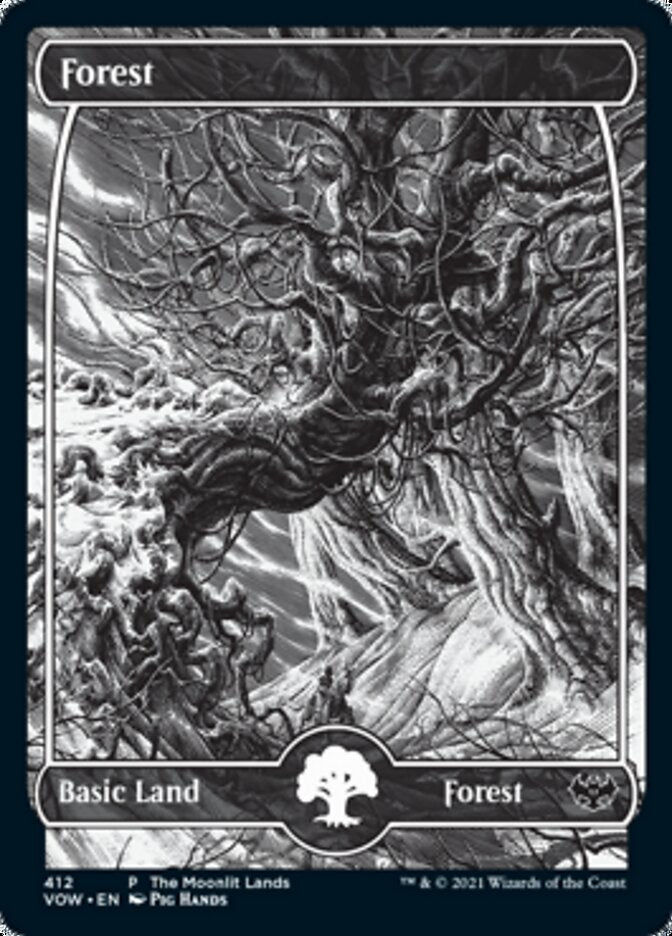 Forest (The Moonlit Lands) (Foil Etched) [Innistrad: Crimson Vow Promos]-1