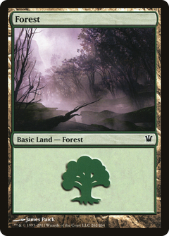 Forest (262) [Innistrad]-1