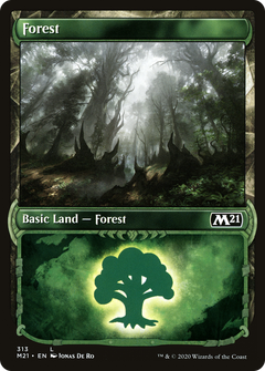 Forest (313) (Showcase) [Core Set 2021]-1