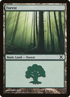 Forest (381) [Tenth Edition]-1