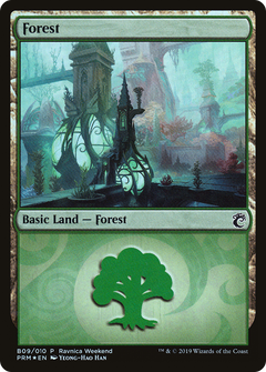 Forest (B09) [Ravnica Allegiance Guild Kit]-1