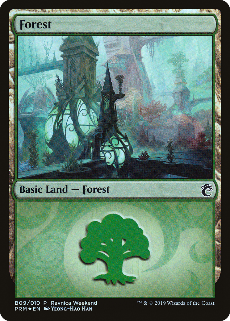 Forest (B09) [Ravnica Allegiance Guild Kit]-1