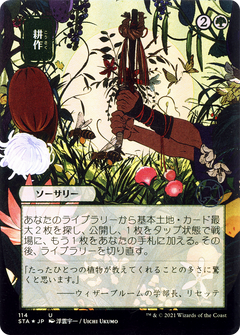 Cultivate (JP Alternate Art) (STA-114) - Strixhaven Mystical Archive (Borderless) Etched Foil-1