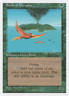 Birds of Paradise [Fourth Edition]-1