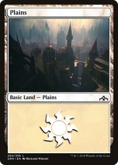 Plains (260) [Guilds of Ravnica]-1