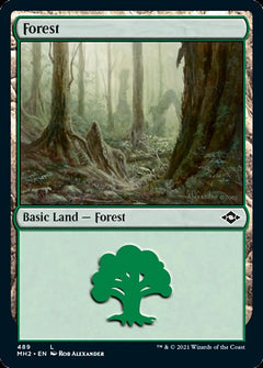 Forest (489) [Modern Horizons 2]-2