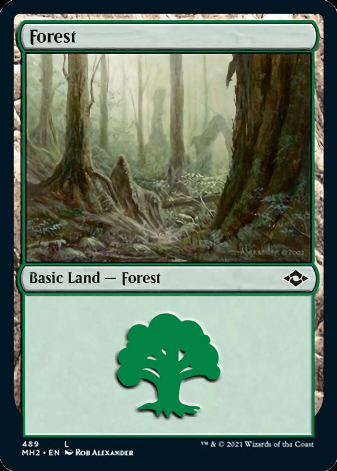 Forest (489) [Modern Horizons 2]-2