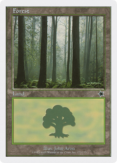 Forest (173) [Starter 1999]-1