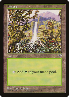 Forest (Waterfall) [Mirage]-1