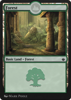 Forest (AKR-298) - Amonkhet Remastered-1