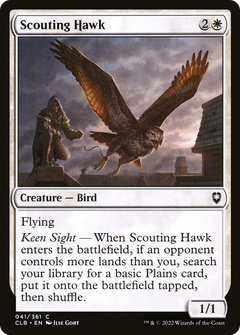 Scouting Hawk [Commander Legends: Battle for Baldur's Gate]-1