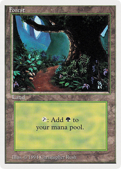 Forest (305) [Summer Magic / Edgar]-1