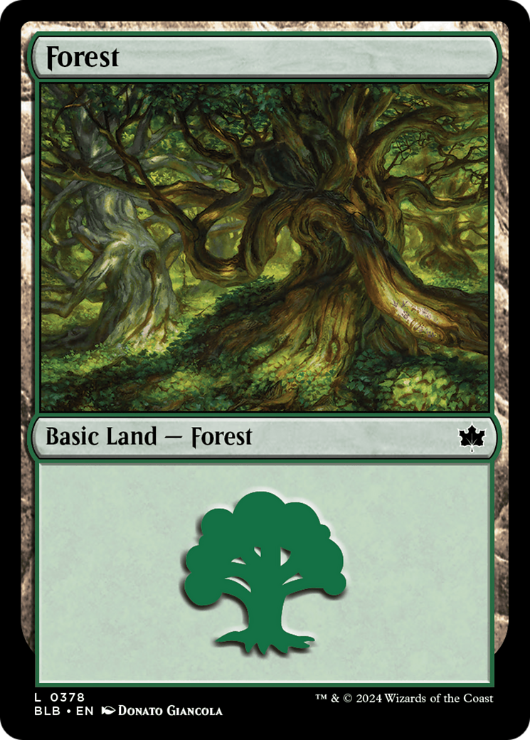 Forest (0378) [Bloomburrow]-1