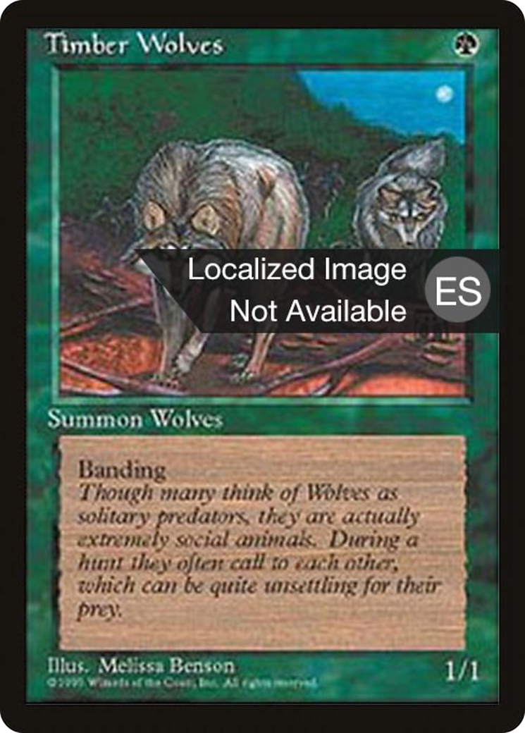 Timber Wolves [Fourth Edition Foreign Black Border]-1