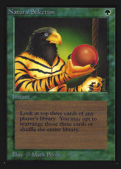 Natural Selection (CE) (CED-) - Collectors' Edition-1