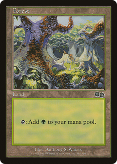 Forest (348) [Urza's Saga]-1