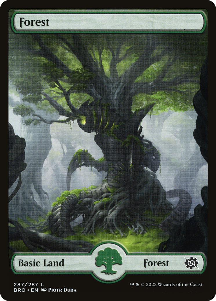 Forest (287) [The Brothers' War]-1
