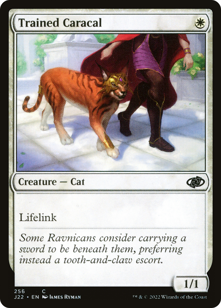 Trained Caracal (J22-256) - Jumpstart 2022-1