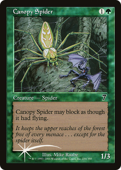 Canopy Spider [Seventh Edition]-1