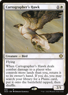 Cartographer's Hawk [Starter Commander Decks]-1
