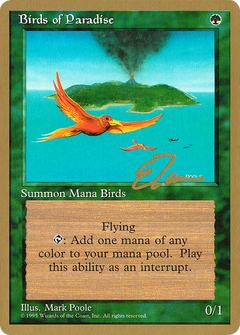 Birds of Paradise (Eric Tam) [Pro Tour Collector Set]-1