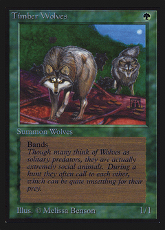 Timber Wolves (CE) (CED-) - Collectors' Edition-1
