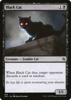 Black Cat [Jumpstart]-1