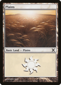 Plains (365) [Tenth Edition]-1