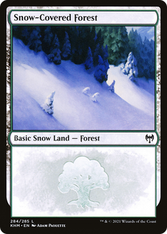 Snow-Covered Forest (284) [Kaldheim]-1