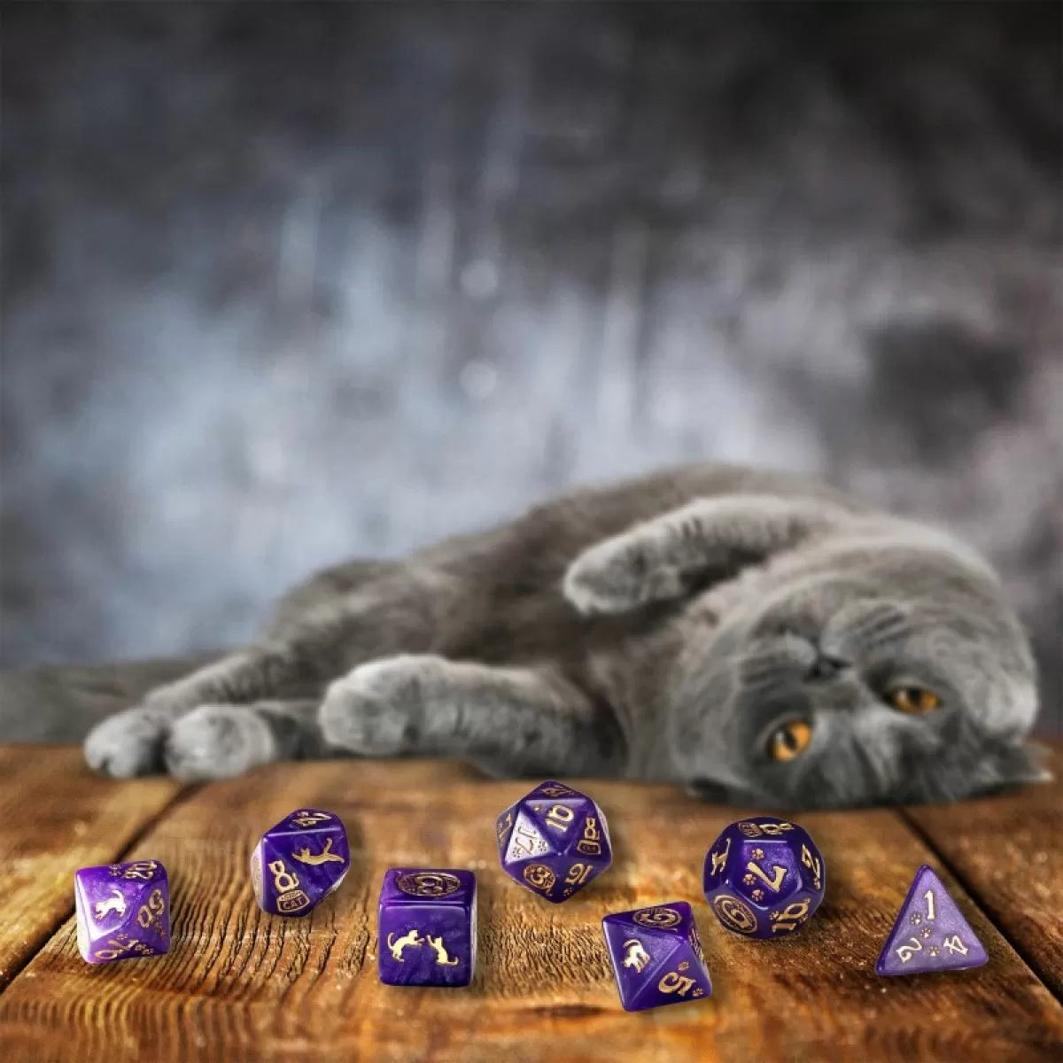 Cats Dice Set - Purrito Dice Set 7-3