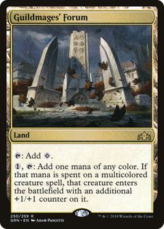 Guildmages' Forum [Guilds of Ravnica]-1