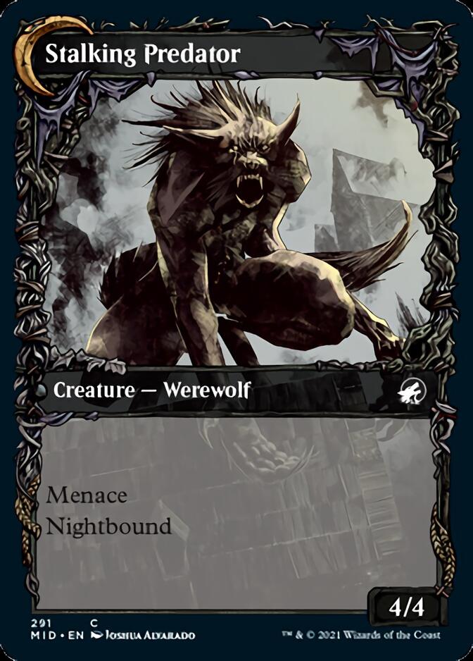 Shady Traveler // Stalking Predator (Showcase Equinox) [Innistrad: Midnight Hunt]-2