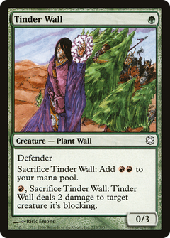 Tinder Wall (CTD-270) - Coldsnap Theme Decks-1