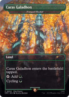 Caras Galadhon - Tranquil Thicket (PLAY-002) - MagicFest 2023 / Caras Galadhon (Borderless)-1