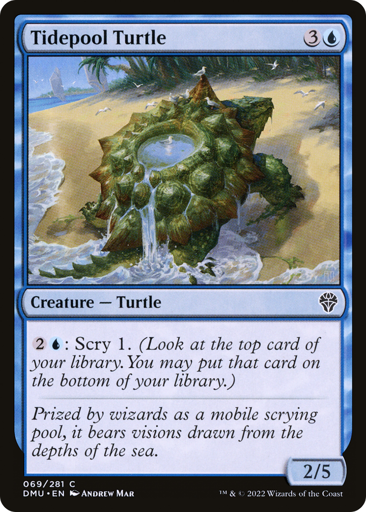 Tidepool Turtle [Dominaria United]-1
