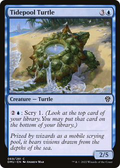 Tidepool Turtle [Dominaria United]-1
