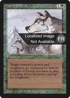 Aspect of Wolf (FBB-) - Foreign Black Border-1