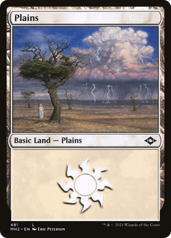 Plains (481) (MH2-481) - Modern Horizons 2 Etched Foil-1