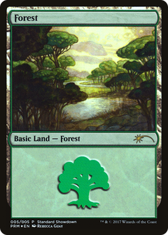 Forest (Rebecca Guay) [Standard Showdown Promos]-1