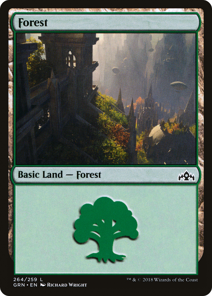 Forest (264) [Guilds of Ravnica]-1