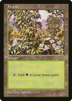 Forest (Open Flowers Bottom Right) [Mirage]-1