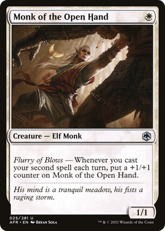 Monk of the Open Hand [Dungeons & Dragons: Adventures in the Forgotten Realms]-1