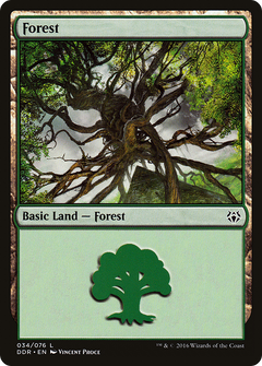 Forest (34) [Duel Decks: Nissa vs. Ob Nixilis]-1