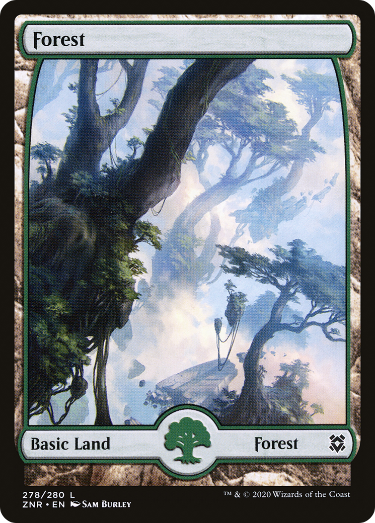 Forest (278) [Zendikar Rising]-1