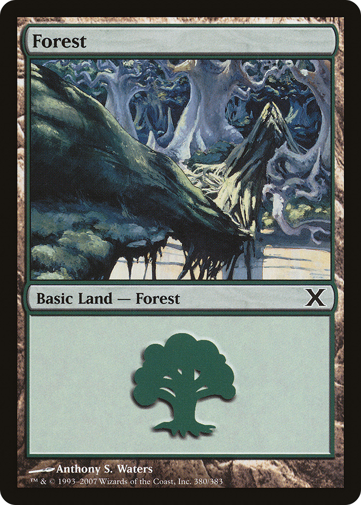 Forest (380) [Tenth Edition]-1