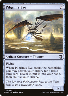 Pilgrim's Eye [Eternal Masters]-1