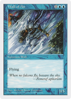 Wall of Air (5ED-) - Fifth Edition-1